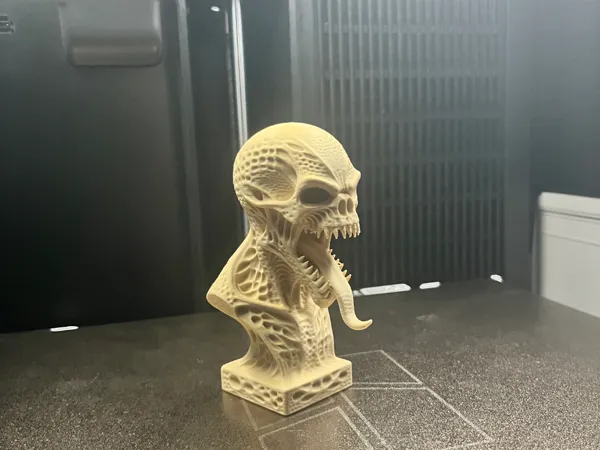 https://makerworld.bblmw.com/makerworld/model/US2d26c82e960c13/design/2025-07-16_07c1e6040236a.jpeg