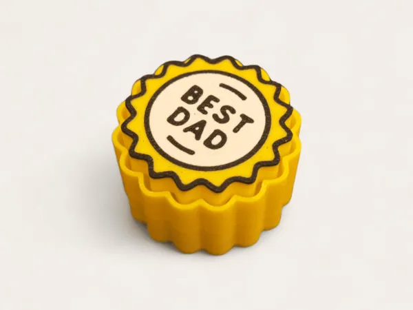 https://makerworld.bblmw.com/makerworld/model/US2d271e80eca1a8/design/2025-06-14_210f530c4b5f8.png