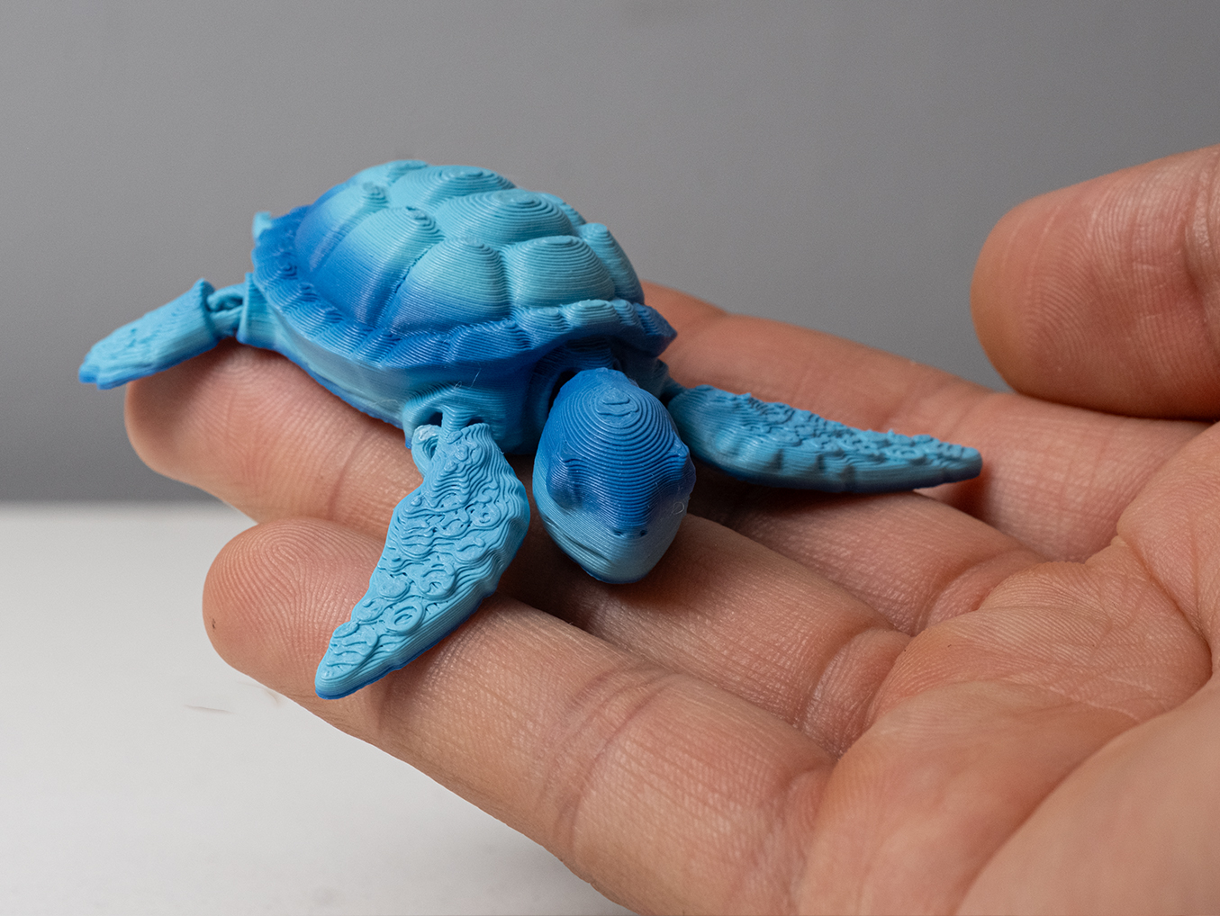 Miniatura 2 do modelo 3D Sea Turtle - Articulated