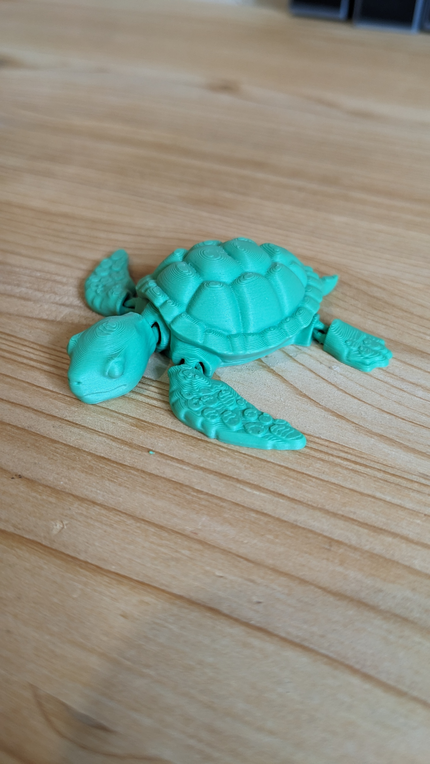 Miniatura 3 do modelo 3D Sea Turtle - Articulated