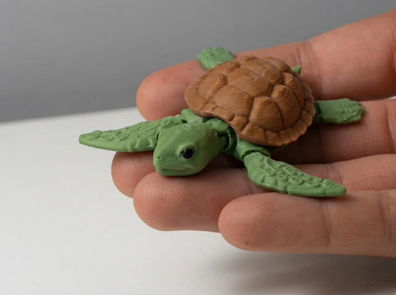 Sea Turtle - Articulated view 3