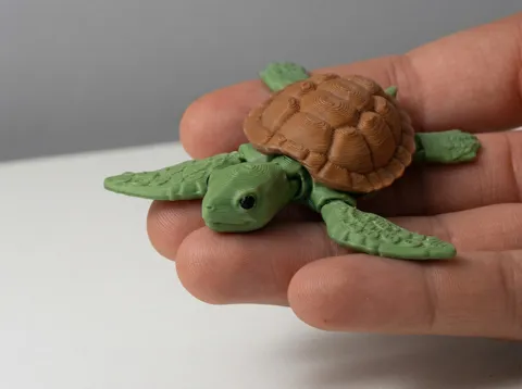 Sea Turtle - Articulated view 3