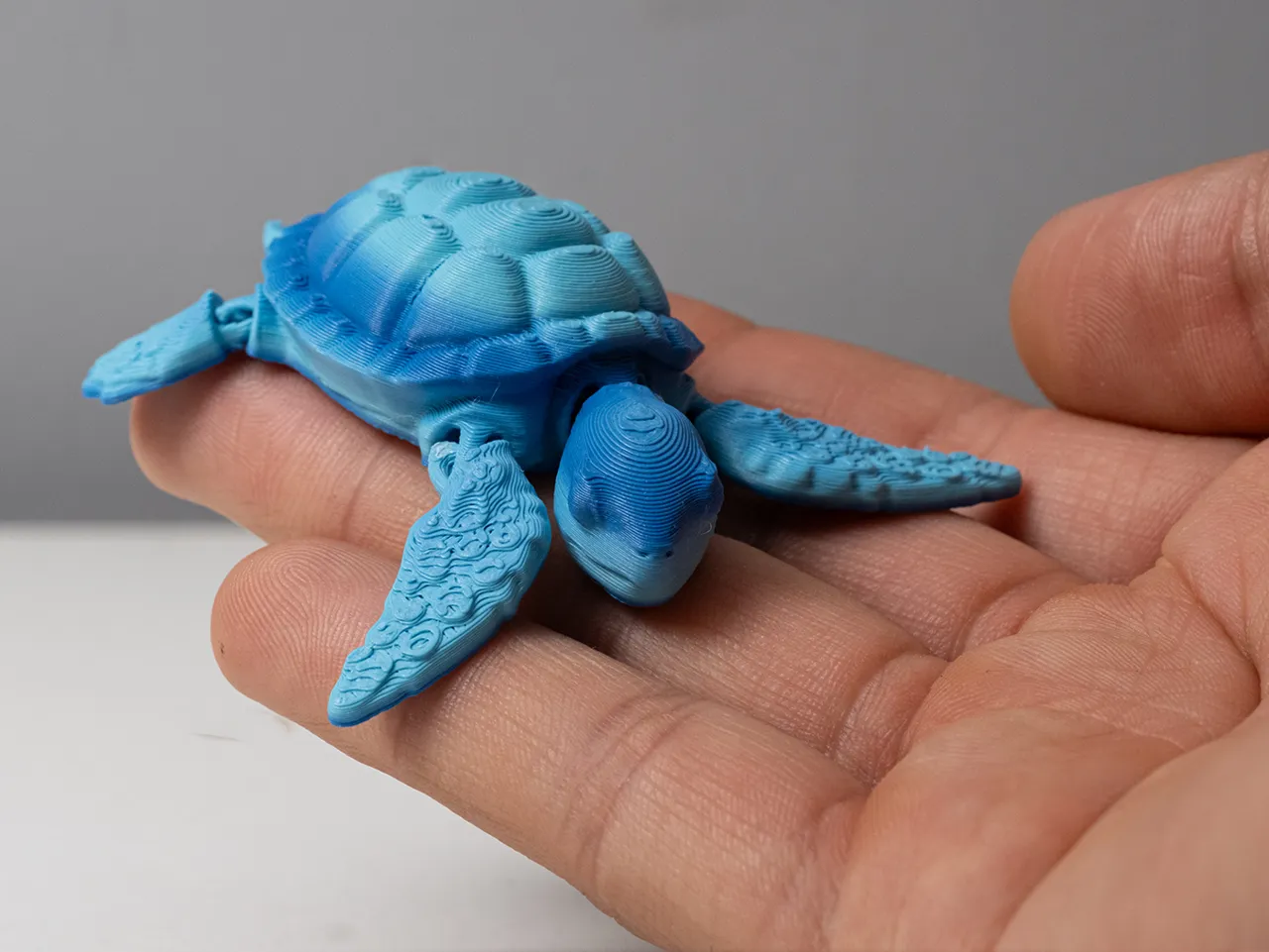 Sea Turtle - Articulated view 4