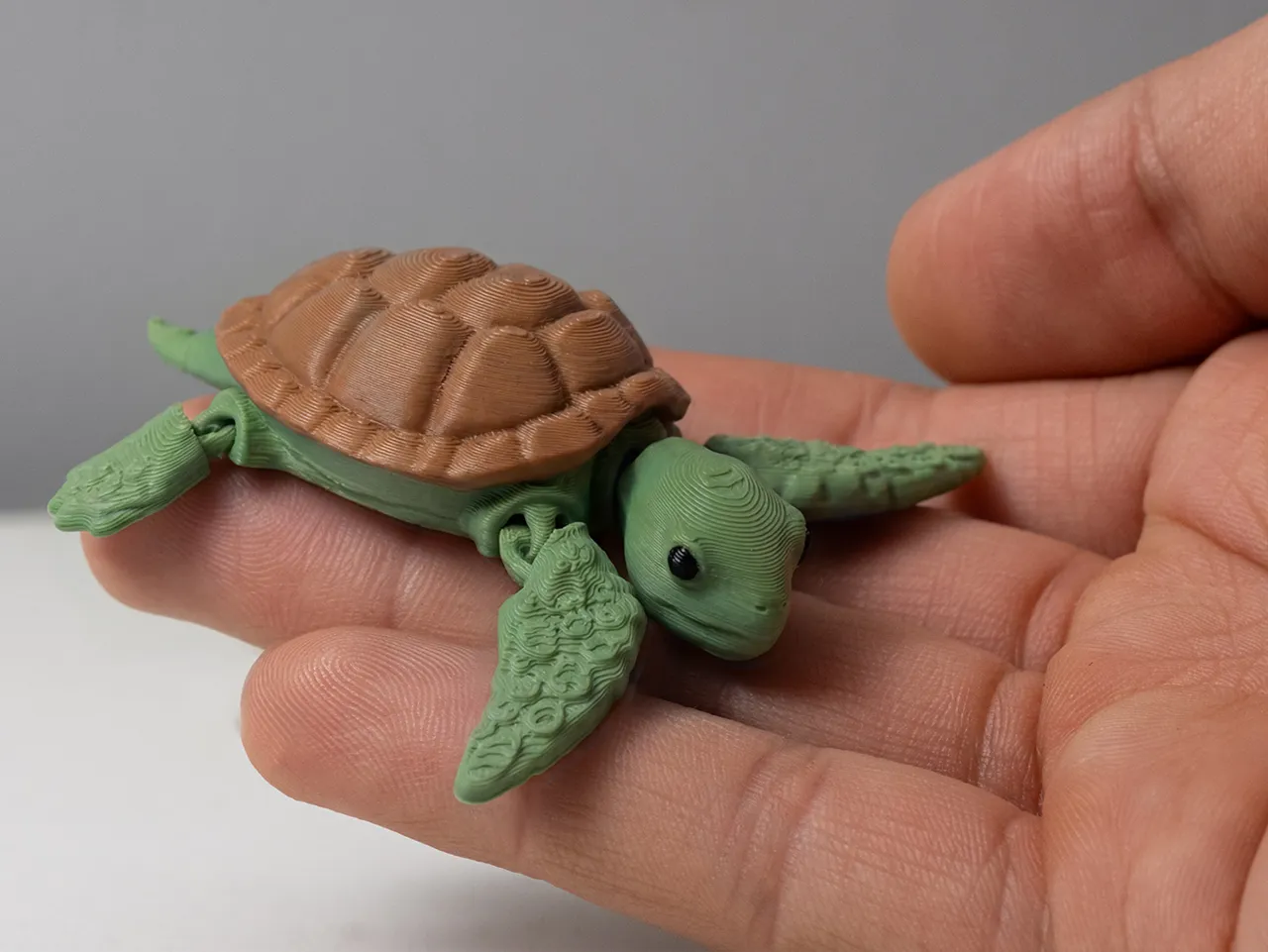 Sea Turtle - Articulated view 2