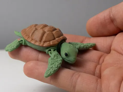 Sea Turtle - Articulated view 2