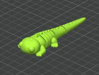 Lizard One Color