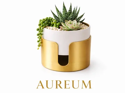 Aureum Planter