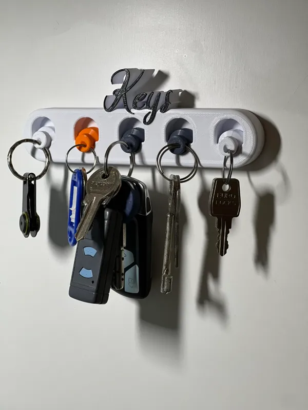 https://makerworld.bblmw.com/makerworld/model/US2d33445e6511a3/design/2024-03-18_a4ac55ca67da.jpg