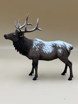 Soporte: Frostback – Rocky Mountain Bull Elk — vista de referencia 5