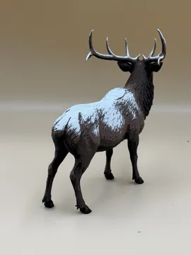 Soporte: Frostback – Rocky Mountain Bull Elk — vista de referencia 4