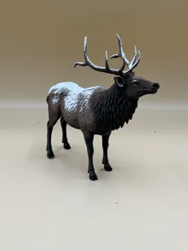Soporte: Frostback – Rocky Mountain Bull Elk — vista de referencia 3