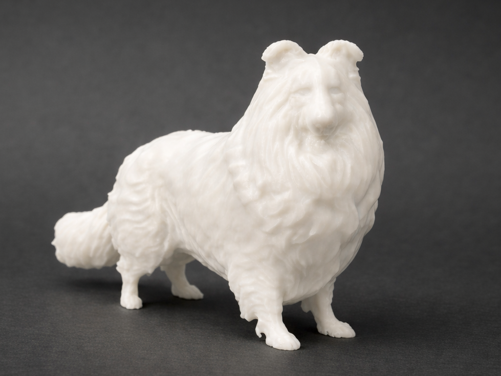 Rough Collie - Dog - Animal