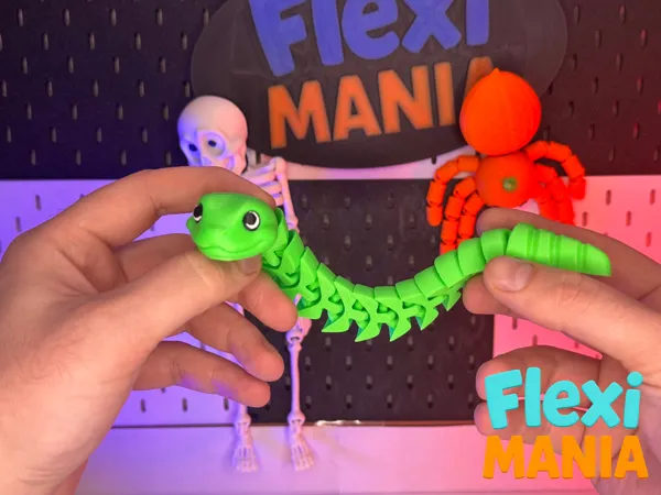 https://makerworld.bblmw.com/makerworld/model/US2d39f5003c09c9/design/2025-12-17_4e1ce7af620218.png