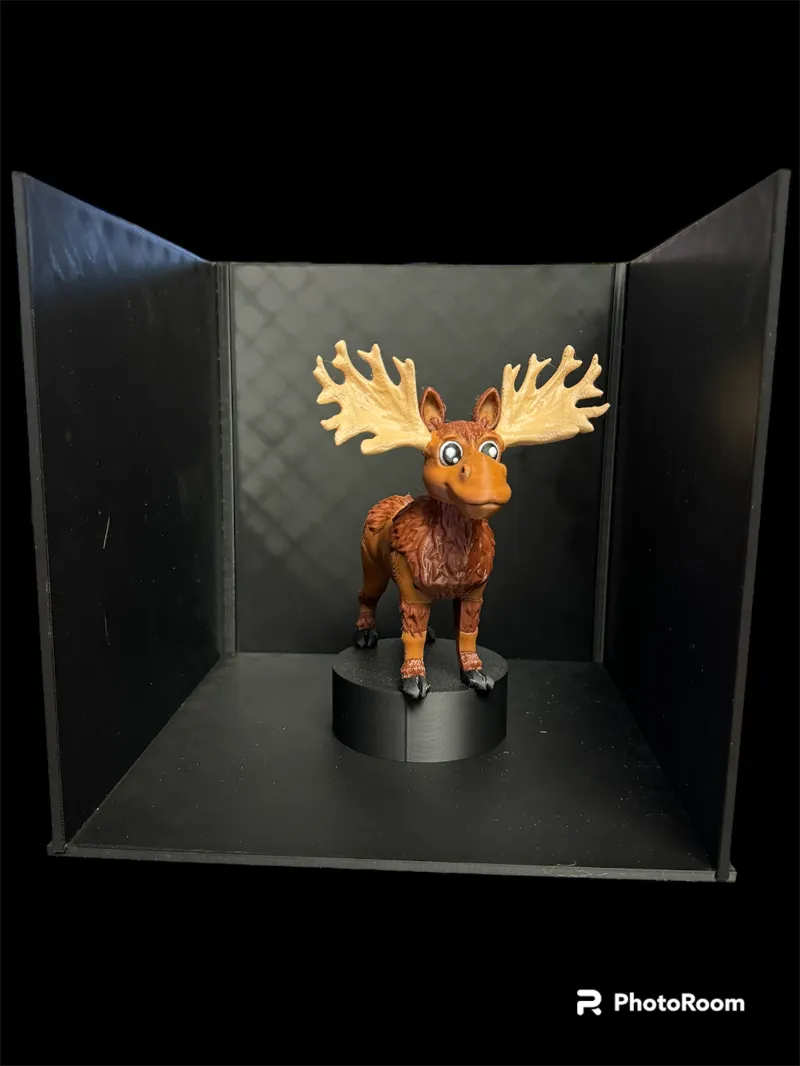 Buildable Photo Box single and double wide