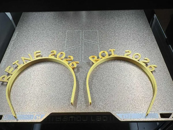 https://makerworld.bblmw.com/makerworld/model/US2d3c50a2d11277/design/2025-12-29_07d4363bfbfb2.jpg
