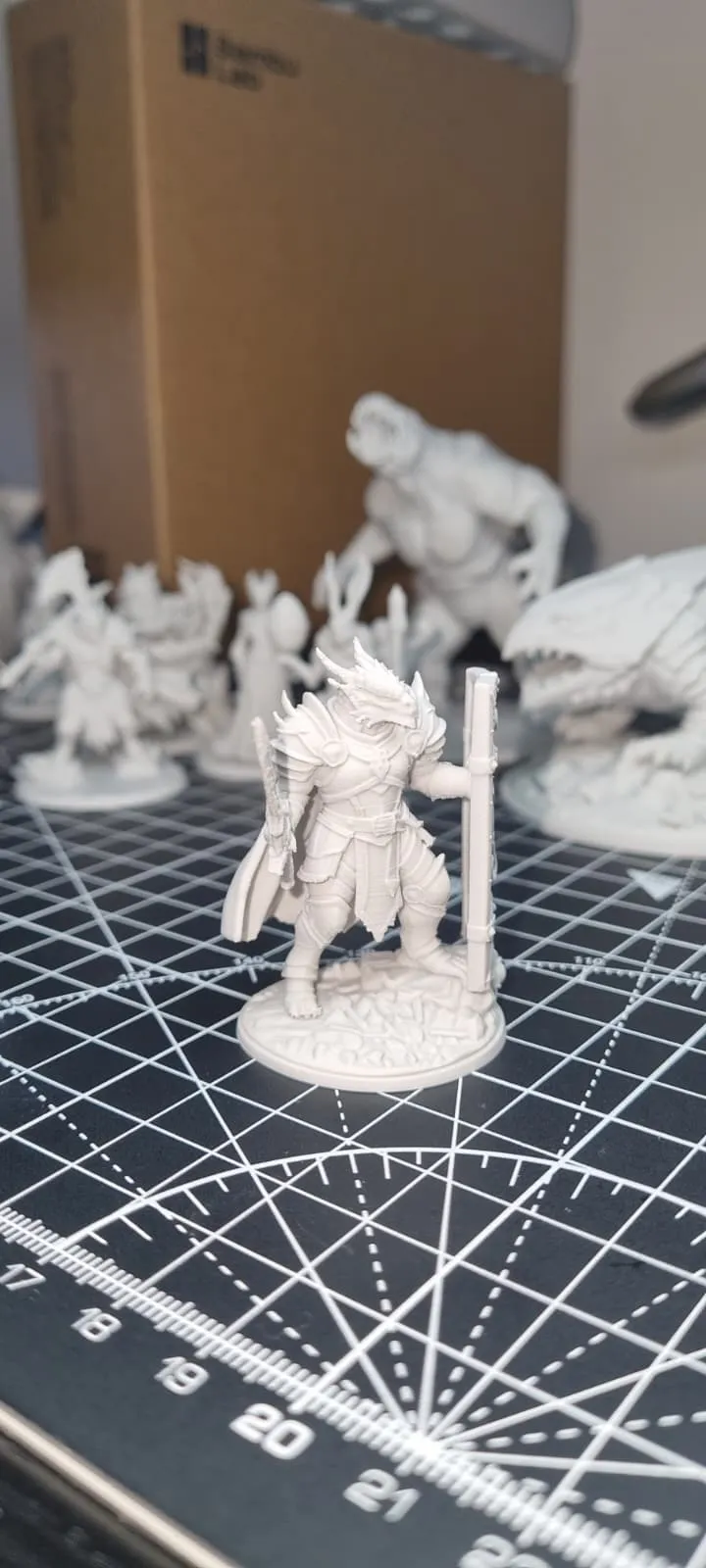 3Dプリント パラディン ドラゴンボーン 男性 D&D ミニチュア (48mm
