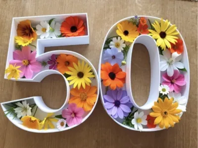 Hollow Number 50
