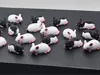 Cute lab rats!