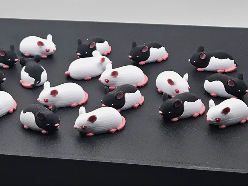 Cute Mini Lab Rats