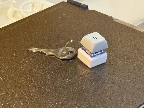 https://makerworld.bblmw.com/makerworld/model/US2d495c93d0d5db/design/2024-03-04_81fac7c7ba0ce.jpeg