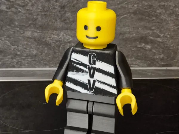 https://makerworld.bblmw.com/makerworld/model/US2d4ccb0a6a97f0/design/853ccfe2bc00e2ed.jpg