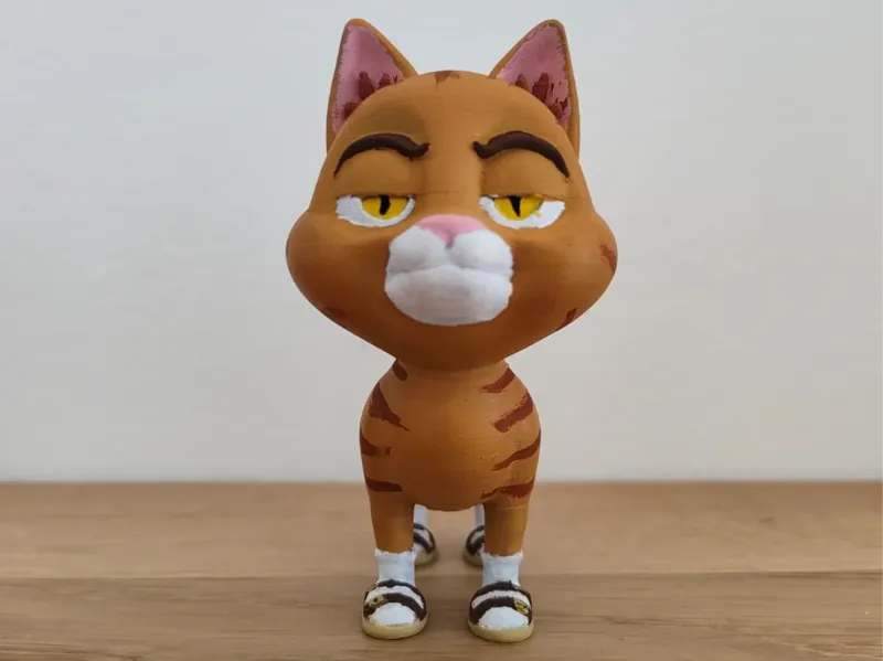 Cat with sandals and socks