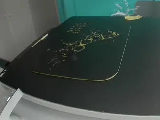 year of horse coaster