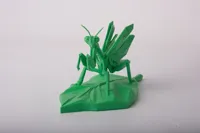 0.16mm layer, 2 walls, 20% infill