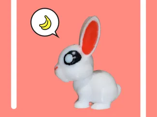 Mini Rabbit