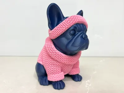 Designer bulldog with knitted winter outfit