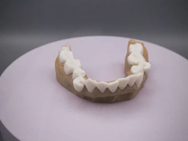 https://makerworld.bblmw.com/makerworld/model/US2d554a93e36b25/design/2025-09-13_dfdf87868e6d28.jpg