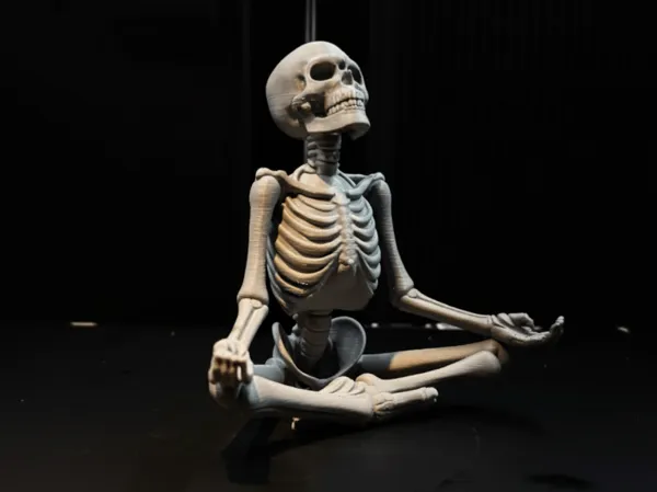 https://makerworld.bblmw.com/makerworld/model/US2d55cf68da3f6d/design/2025-10-06_20f544685ae1f8.png