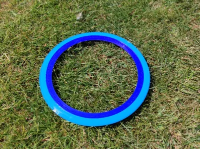 Frisbee/Flying Disc