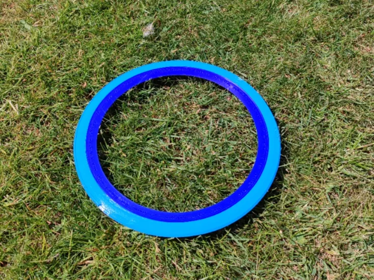 Frisbee/Flying Disc