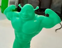 Figurine Shrek musclé — photo 4