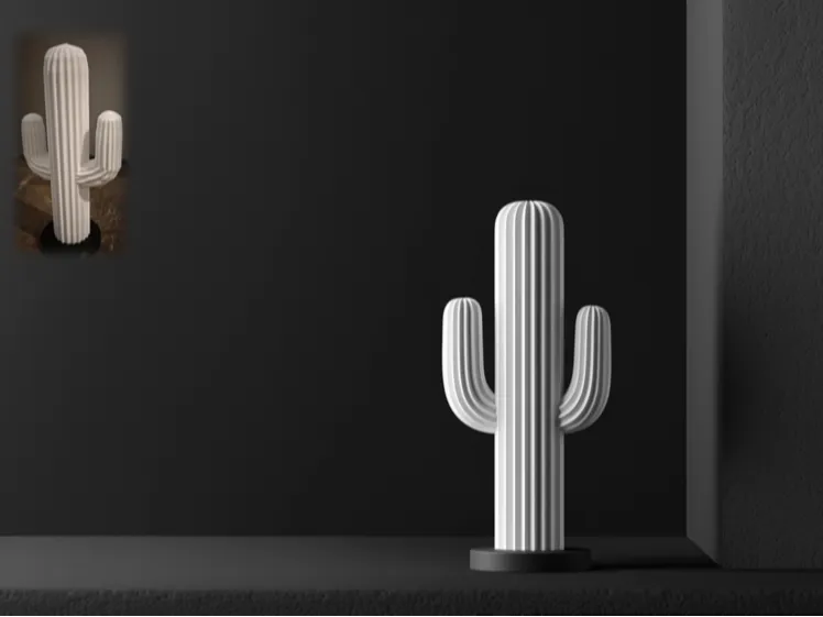 Biocompatible Stone Cactus