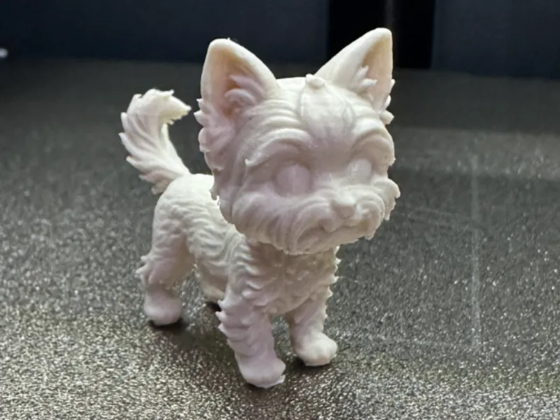Cute Yorkshire terrier