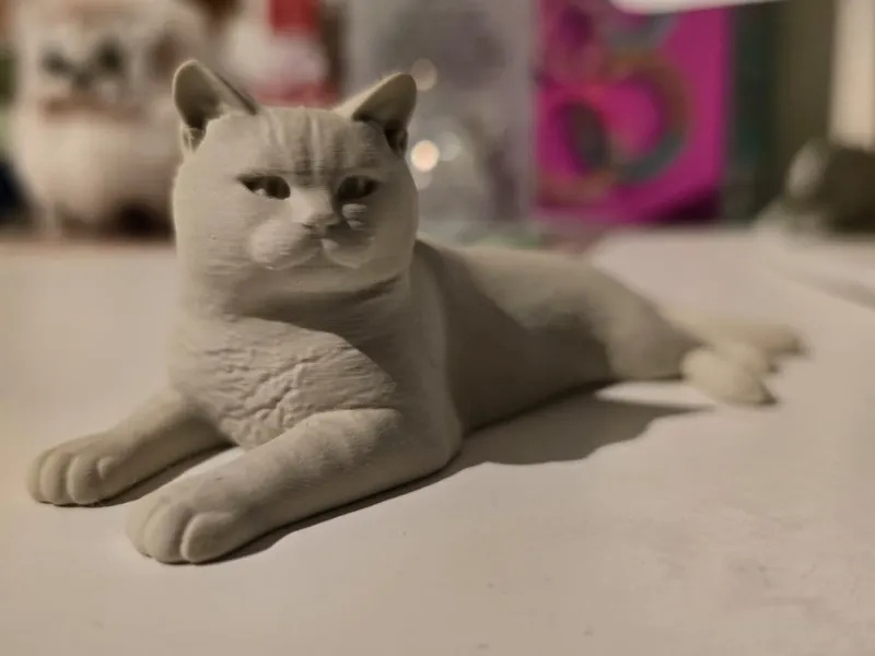 British Shorthair cat - mini pet - only 12 grams
