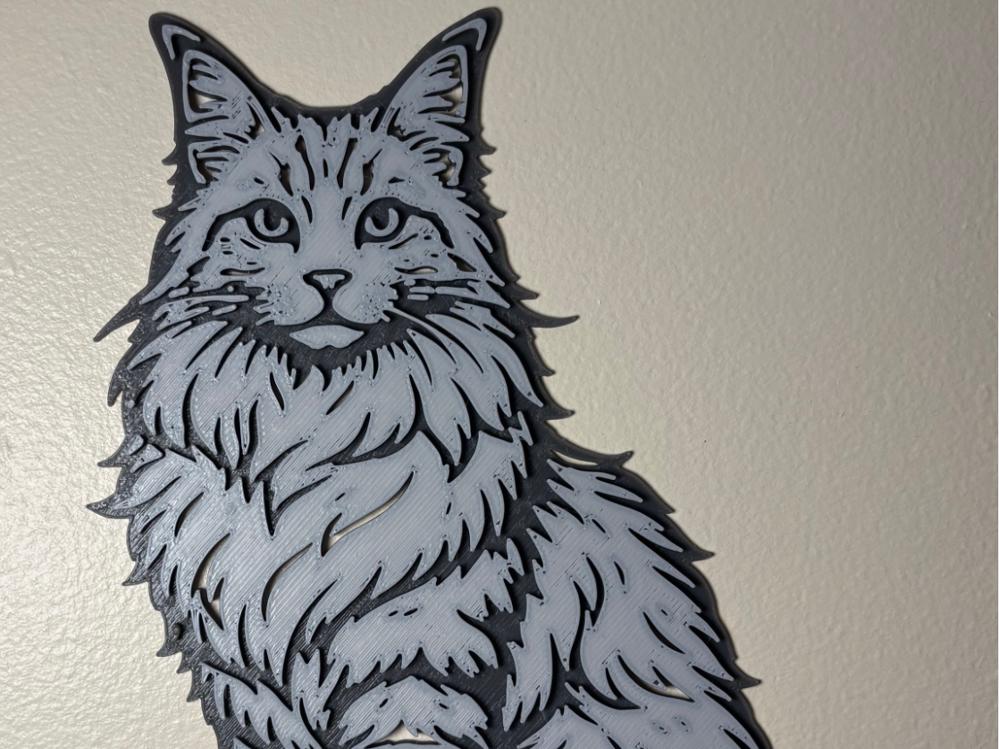 Maine Coon cat wall art