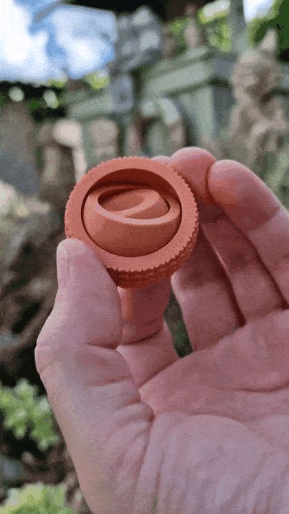 https://makerworld.bblmw.com/makerworld/model/US2d6db5fb093503/design/2024-06-14_afbf0b6f96eba.gif