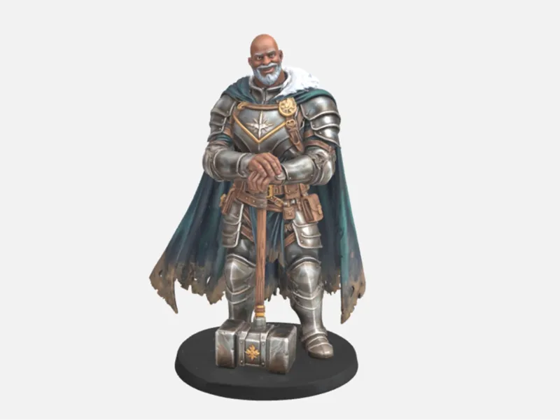 Veteran Champion Paladin - Great Weapon Master D&D