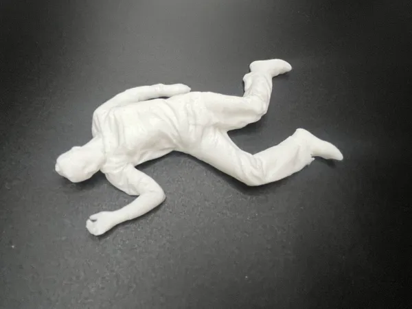 https://makerworld.bblmw.com/makerworld/model/US2d78a07c62407a/design/2025-01-31_211a66653b03b8.jpg