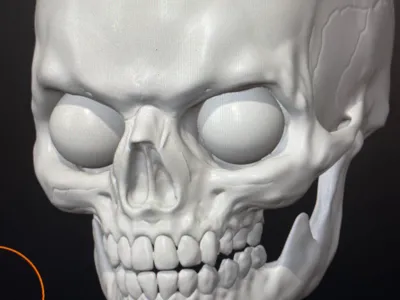 3inch skull