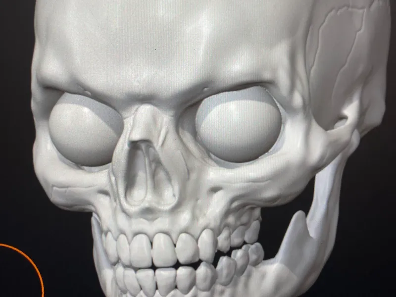 3inch skull