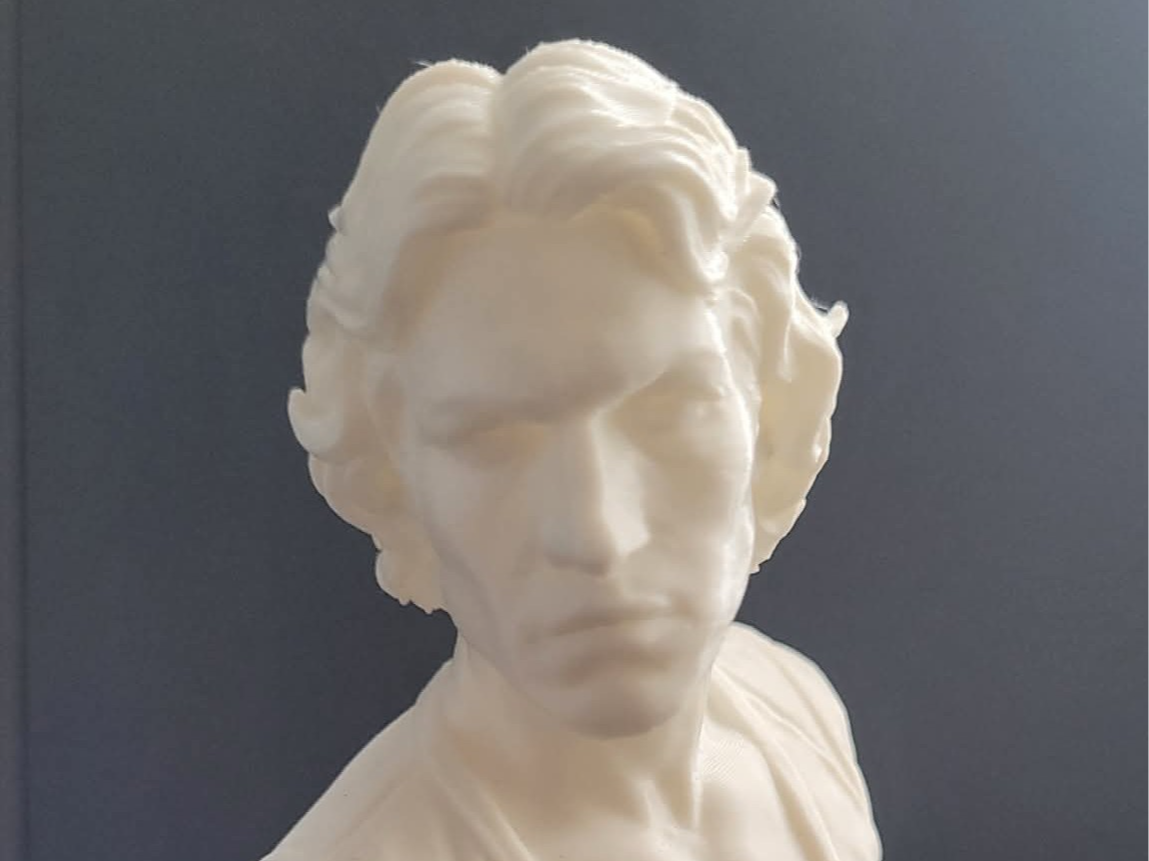 The Warriors Swan bust