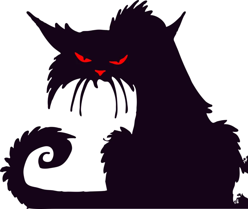 Spooky Black Cat