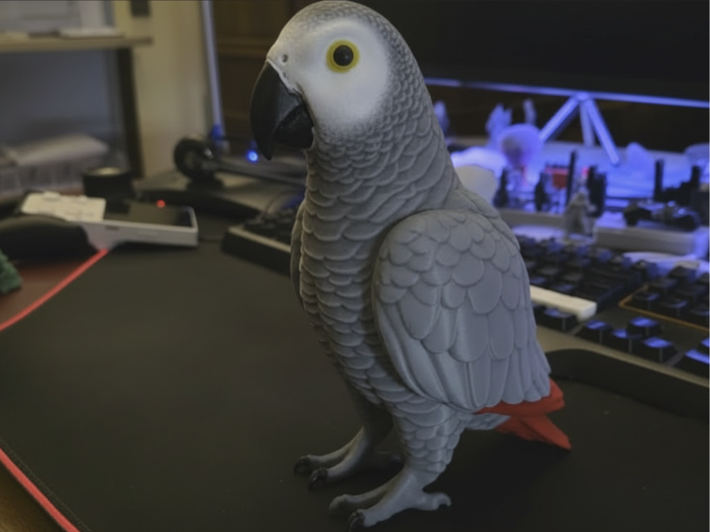 African Grey Parrot - Lifesize Split model