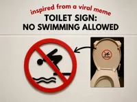 NO AMS, Head seperated from Torso