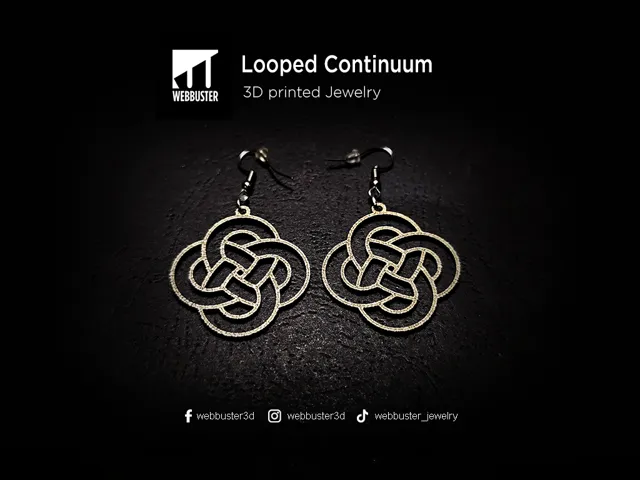 Looped Continuum Earrings