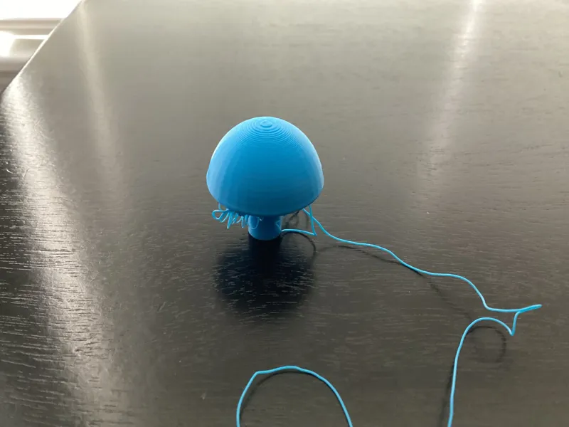 Floating test print